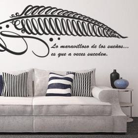 Vinyl quotes dreams