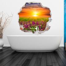 Vinyl 3D sunset in the field