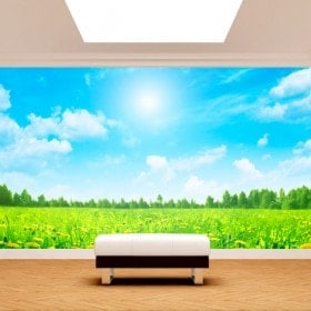 Photo wall murals flowers nature