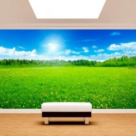 Yellow flowers photo wall murals in the field