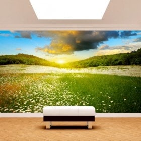 Photo wall murals flowers in the field