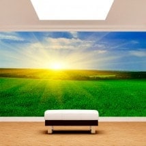 Photo wall murals Sun on the horizon