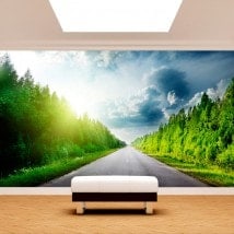 Photo wall murals road and pine