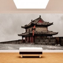 Photo wall murals wall of Xian