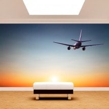 Airplane photo wall murals sunset