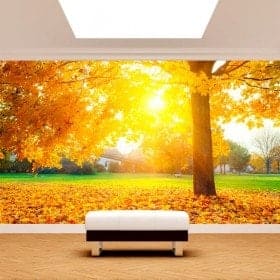 Photo wall murals trees in autumn