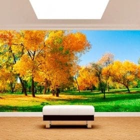 Photo wall murals tree in the field