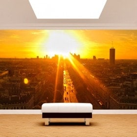 Paris photo wall murals at sunset
