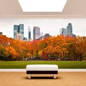 Photo wall murals wall Central Park New York