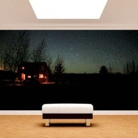 Photo wall murals cabin in the nature