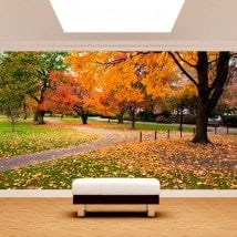 Photo wall murals Park in Boston
