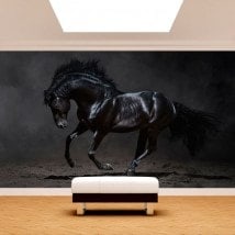 Fotomural black horse