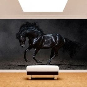 Fotomural black horse