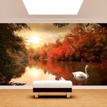 Photo wall murals Swan Lake