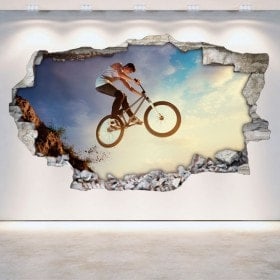 Vinyl hole wall 3D BMX