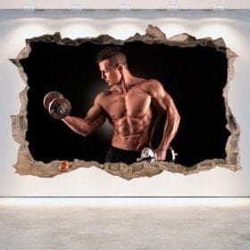 Vinyl gyms hole 3D wall