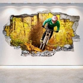 Mountain Bike 3D wall-broken vinyl