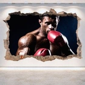 Vinyl 3D boxing