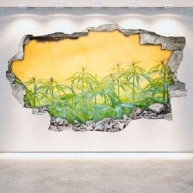 Vinyl marijuana broken wall 3D