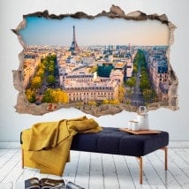 Vinyl wall broken Paris