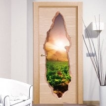 Sunset in the vineyard 3D doors vinyl