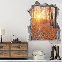 Vinyl 3D sunset in the forest