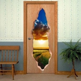 Doors vinyl sunset field