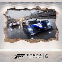 Vinyl 3D Forza Motorsport 6