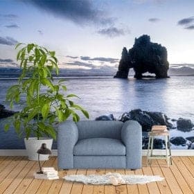 Photo wall murals rock dinosaur Iceland