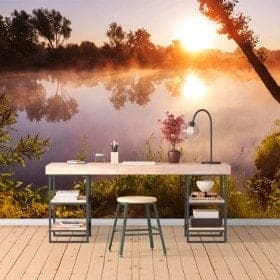 Photo wall murals sunset at the river