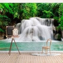 Photo wall murals waterfalls nature