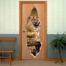 Doors Siberian Tiger for vinyls