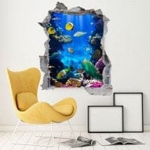Vinyl decorative fish on the reef 3D