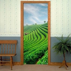 Stickers for doors tea plantation