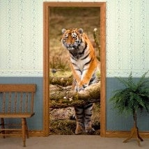 Decorative vinyl doors Siberian Tiger