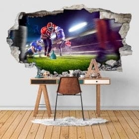 Vinyl football 3D