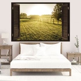 3D vinyl windows sunset in the meadow
