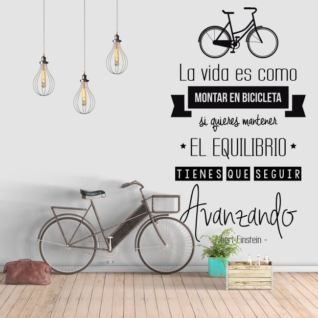 Vinilo bici 2025