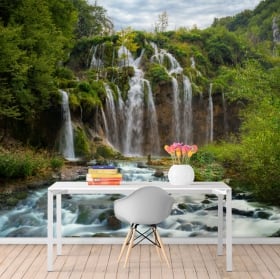 Wall murals waterfalls in the forest