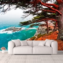 Wall murals cedar tree Rocky Island