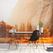 Wall murals Yosemite Sierra Nevada California