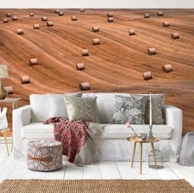 Vinyl wall murals rolls of hay