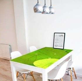 Decorative vinyl tables lily pads