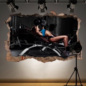 Decorative vinyl gym fitness 3d