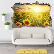 Vinyl hole wall sunset field of sunflowers 3d