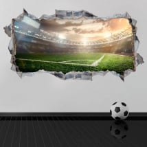 Vinyl hole wall panoramic football stadium