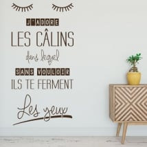 Vinyls french phrases i like hugs