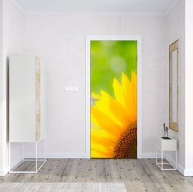 Vinyl adhesives for doors marble