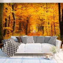Vinyl murals trees in autumn