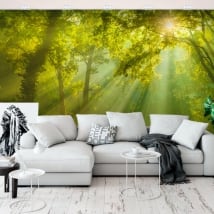 Wall murals of vinyl sunbeams in the forest
